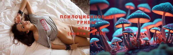 марихуана Заводоуковск