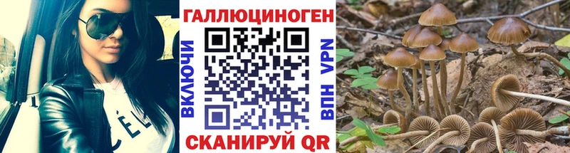 Псилоцибиновые грибы мухоморы  Свирск 
